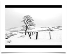 1 - Winter - Chris Beesley